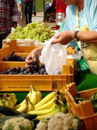 Bauernmarkt